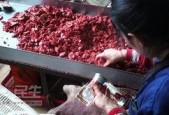 国产色佬,探寻中国色彩文化的独特魅力